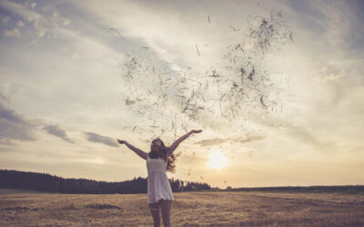 Letting Go and Taking Flight: Embracing Life Transitions and Identity Shifts